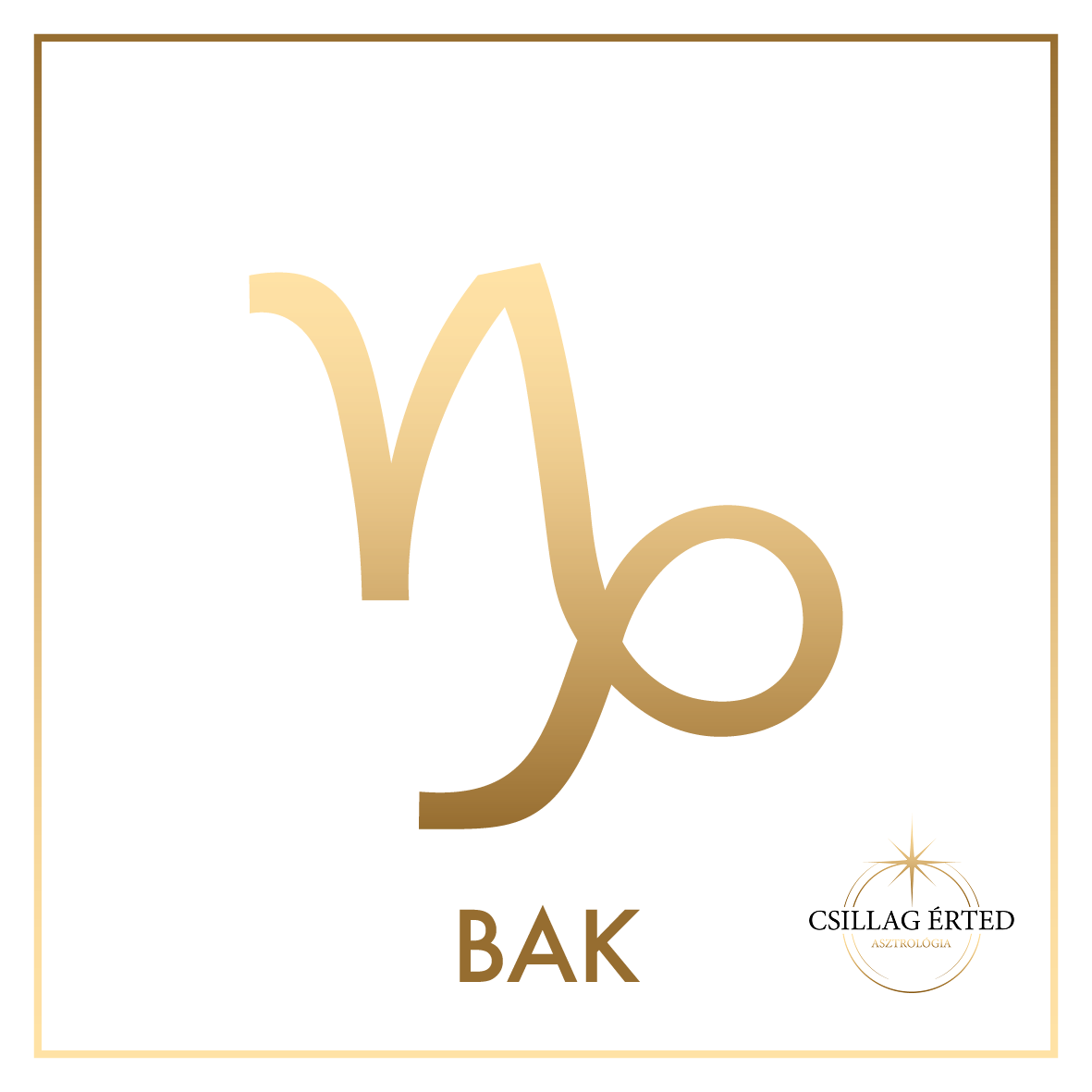 bak logos